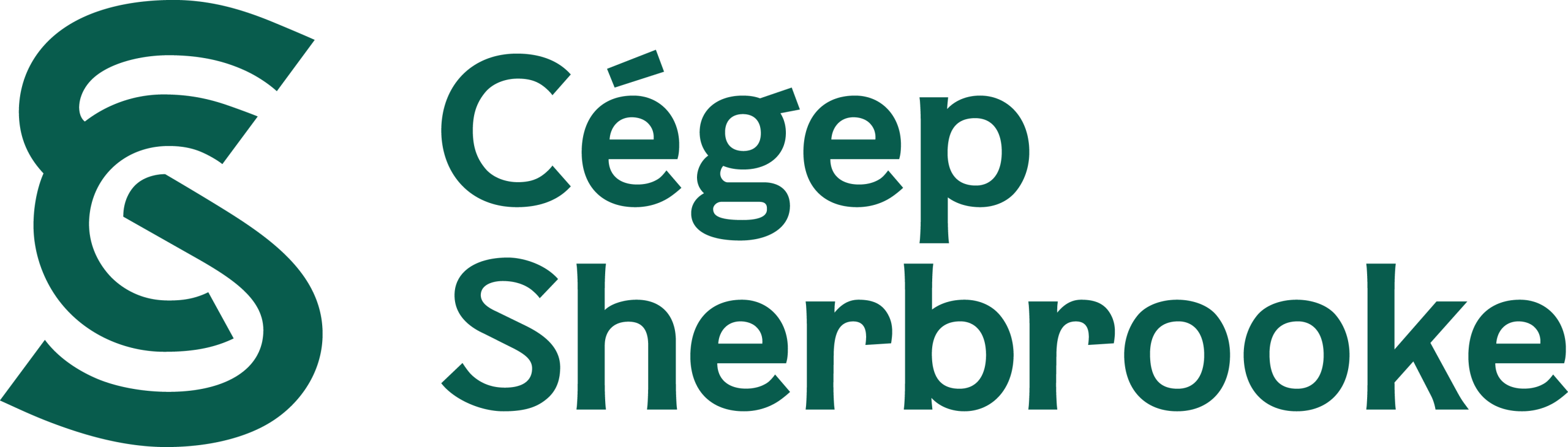 CDS-logotype-RVB_vert